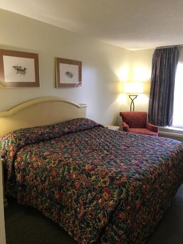 Western Motel Brinson Crossing エクステリア 写真